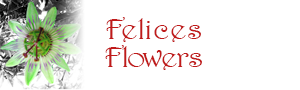 Felices Flowers