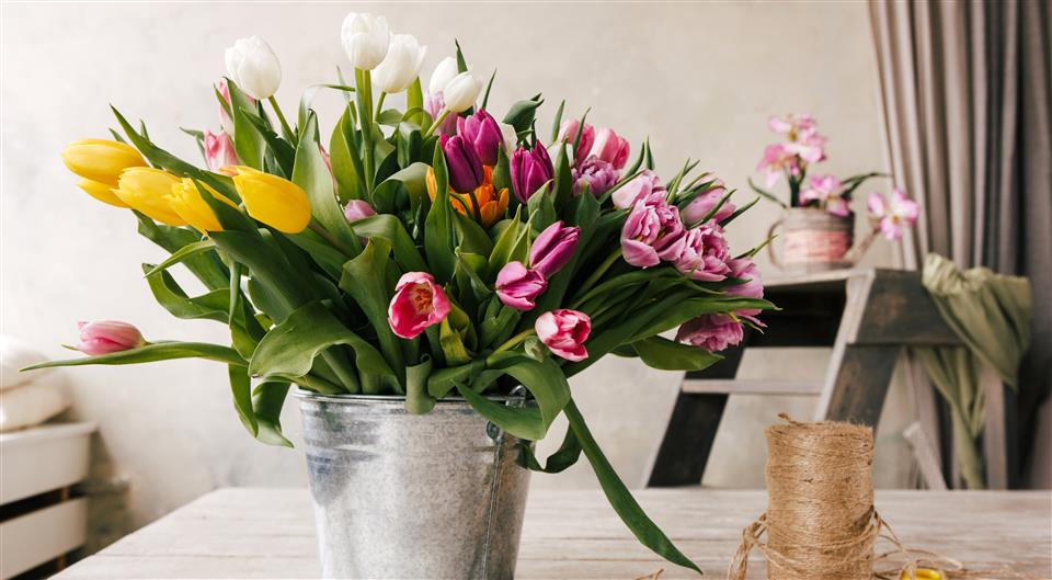 Felices Flowers - Spring Flowers Walthamstow