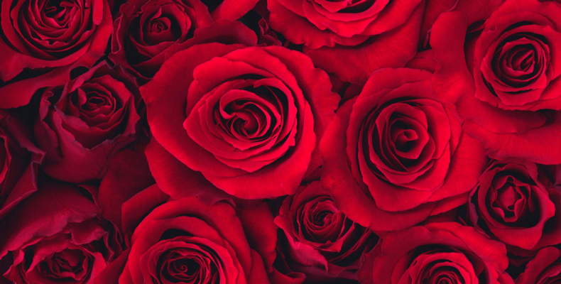 Felices Flowers - Valentine's Day Flowers Walthamstow